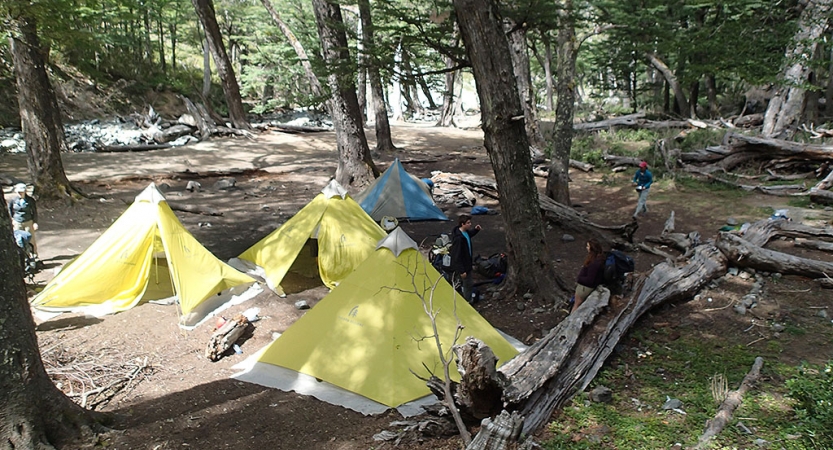 Four tents rest in on the ground in a wooded area. 