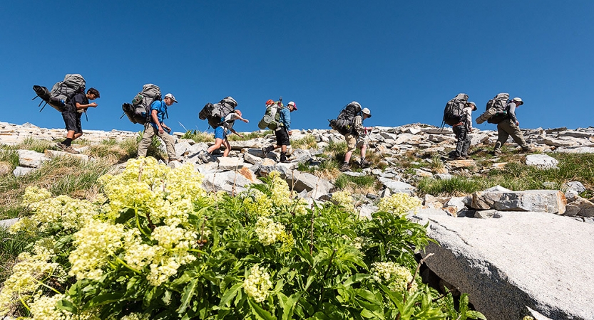 A group of students wearing backpacks hike along rocky terrain amongst wildflowers. There is a bright blue sky above.