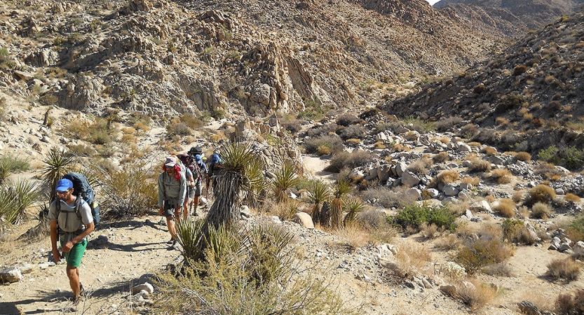 a group of people wearing backpacks hike through Joshua Tree National Park