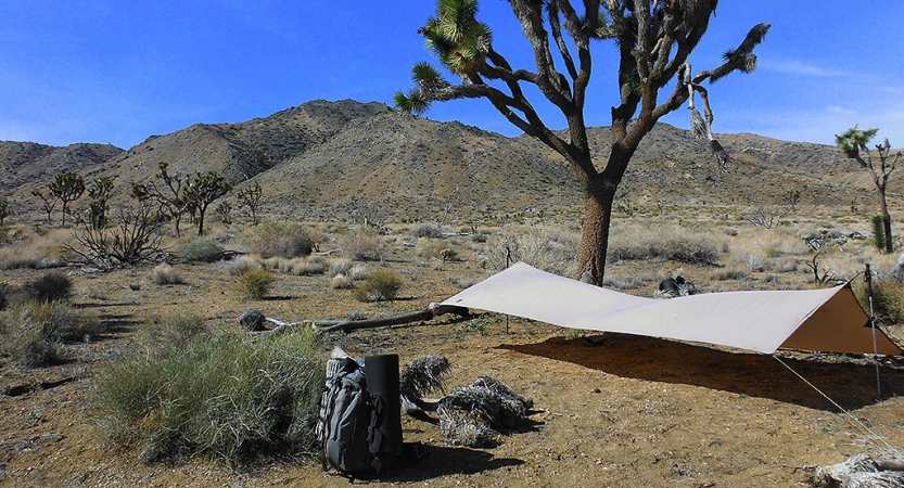 camping in Joshua Tree